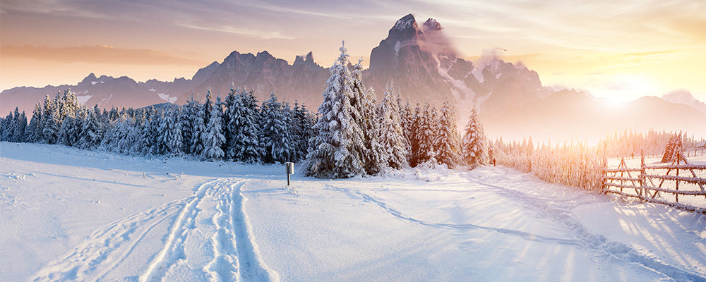 Winter