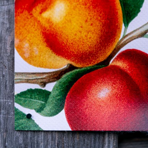 Garten-Poster aus robustem Material mit Obstmotiv, individuell gestaltbar, Signalshop.de Werbeartikel.