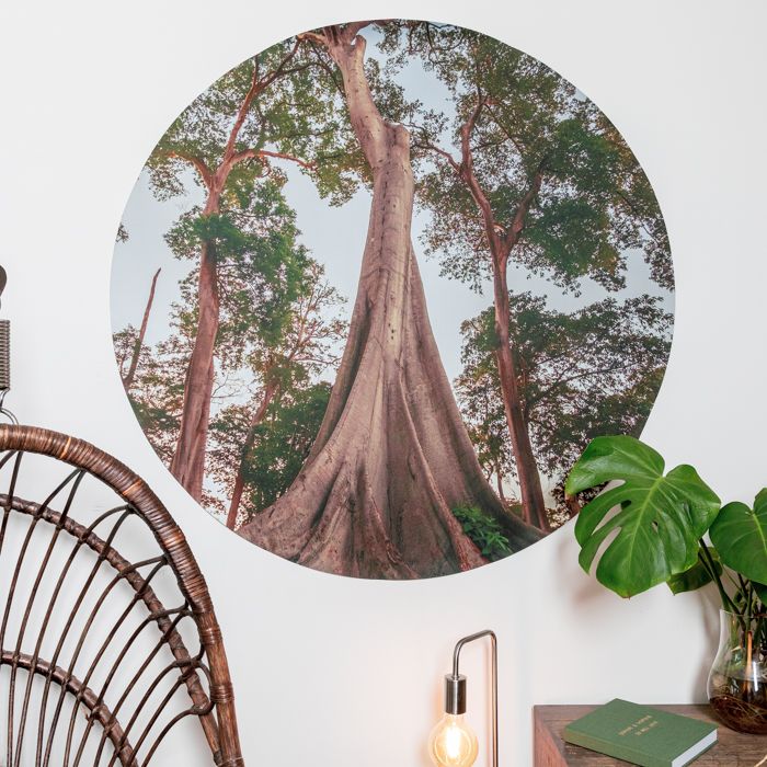 Runder Wandaufkleber mit Baum-Motiv, individuell gestaltbar, von Signalshop.de; Werbeartikel, Werbegeschenke, Werbemittel.