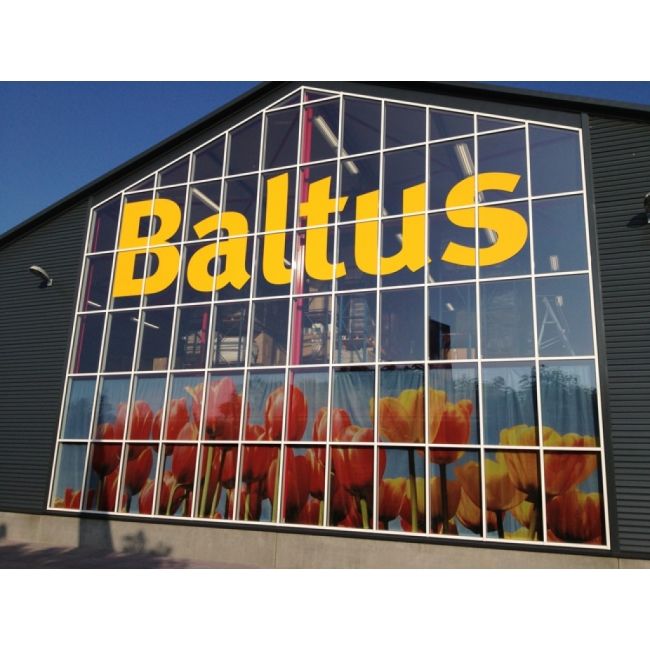 Großes XL Banner mit Tulpenmotiv und Firmenlogo "Baltus", individuell bedruckbar bei Signalshop.de, Werbeartikel.