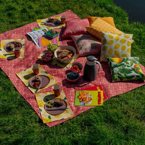 Picknickdecke_1 Picknickdecke bedrucken